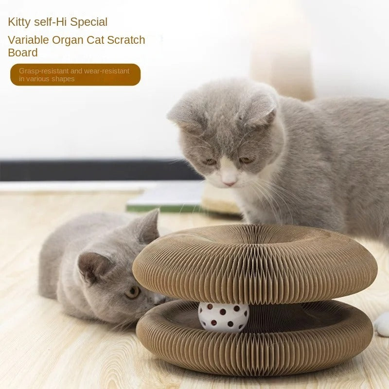 Magic Organ Interactive Cat Scratcher Toy